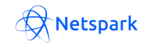 NetSpark Logo