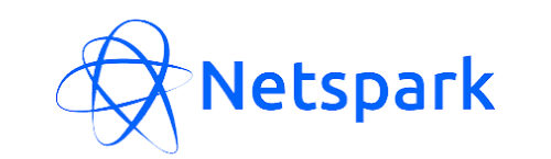 NetSpark Logo